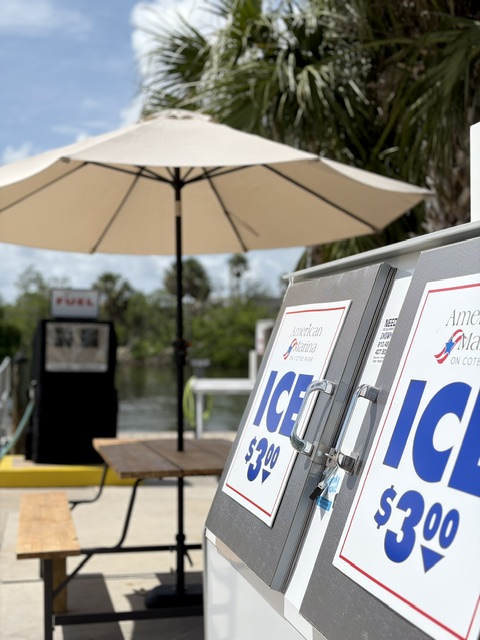 Ice cooler